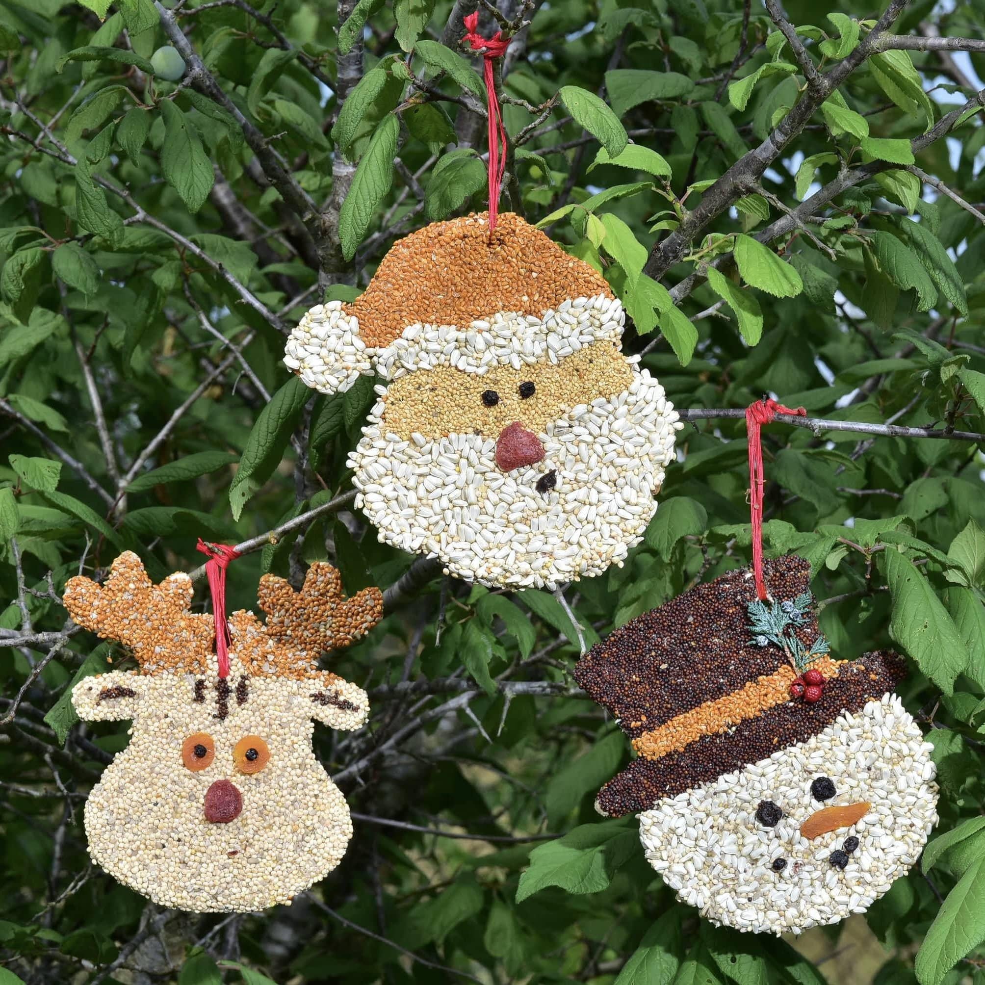 Bird Seed Cookie